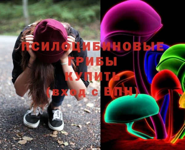 первитин Белокуриха