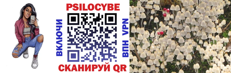 Псилоцибиновые грибы Cubensis Карпинск